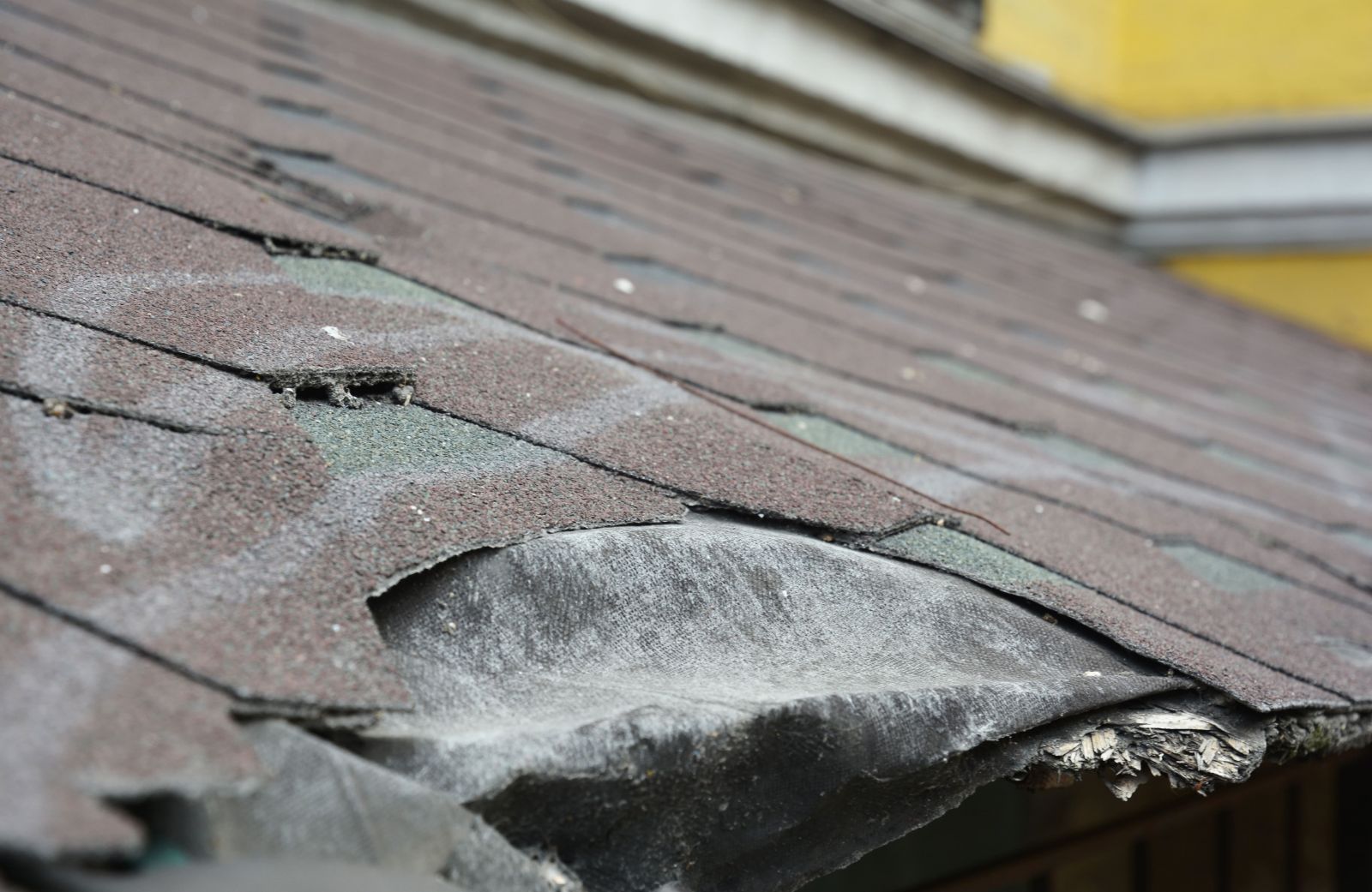 Ashburn Roofing LLC Images