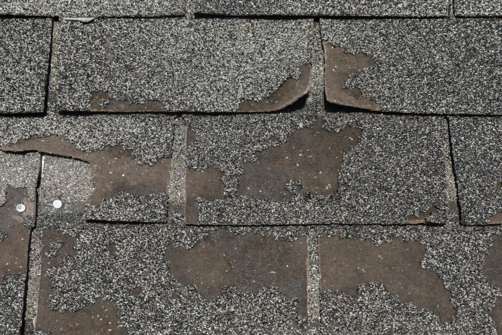 Ashburn Roofing LLC Images