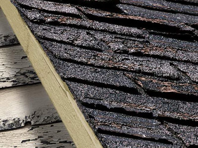 Ashburn Roofing LLC Images
